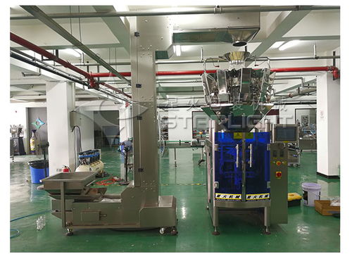 自动化冰糖包装机械设备 全自动冰糖包装生产线