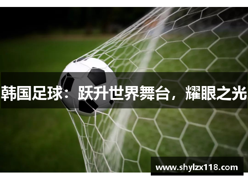 韩国足球：跃升世界舞台，耀眼之光